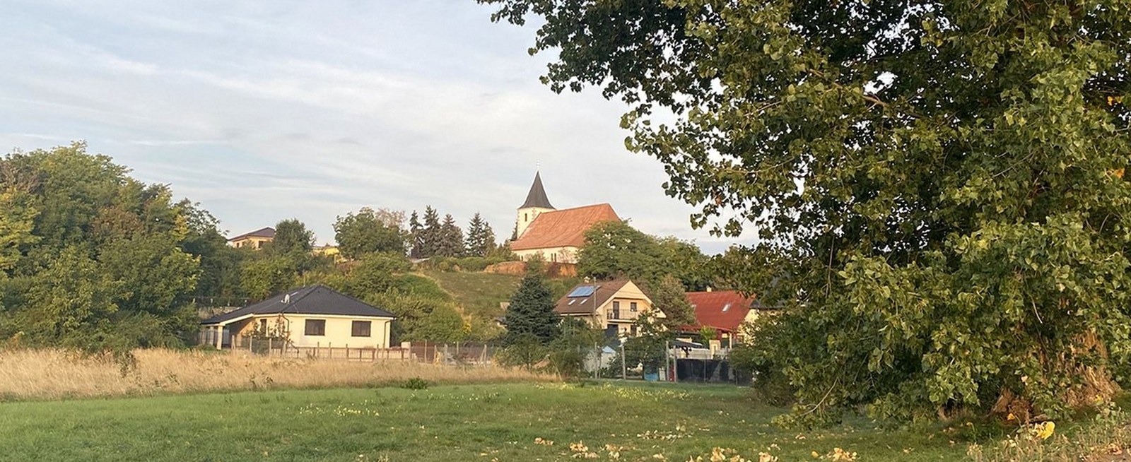 Pohľad od Dudváhu cez lúku na Majcichov — veľký topoľ a Kostol Všetkých svätých na vyvýšenine nad obcou
